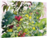 Wild Flowers with Comfrey and Campion by Christopher Ryland