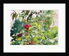 Wild Flowers with Comfrey and Campion by Christopher Ryland