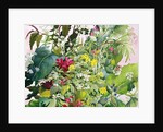 Wild Flowers with Comfrey and Campion by Christopher Ryland