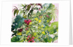 Wild Flowers with Comfrey and Campion by Christopher Ryland