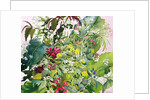 Wild Flowers with Comfrey and Campion by Christopher Ryland