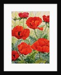 Large Red Poppies by Christopher Ryland