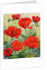Large Red Poppies by Christopher Ryland
