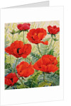 Large Red Poppies by Christopher Ryland