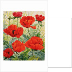 Large Red Poppies by Christopher Ryland