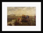 Rush Cutters by Alice Havers