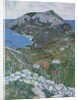 Capri, c.1904 by Maurice Greiffenhagen