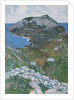Capri, c.1904 by Maurice Greiffenhagen