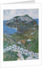 Capri, c.1904 by Maurice Greiffenhagen