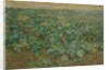 The Turnip Field by William Edward Stott