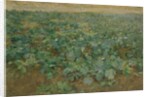 The Turnip Field by William Edward Stott