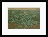 The Turnip Field by William Edward Stott