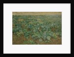 The Turnip Field by William Edward Stott