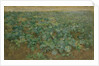 The Turnip Field by William Edward Stott