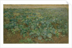 The Turnip Field by William Edward Stott