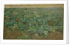 The Turnip Field by William Edward Stott