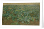 The Turnip Field by William Edward Stott