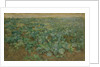 The Turnip Field by William Edward Stott