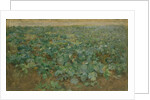 The Turnip Field by William Edward Stott