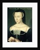 Madame de Valentinois by Francois Clouet