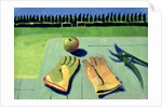 A Day in the Orchard by Sara Hayward