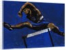Hurdler, 2009 by Sara Hayward