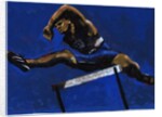 Hurdler, 2009 by Sara Hayward