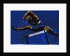 Hurdler, 2009 by Sara Hayward