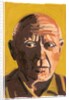 Pablo Picasso, 2008 by Sara Hayward