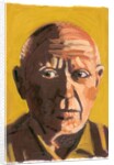 Pablo Picasso, 2008 by Sara Hayward