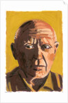 Pablo Picasso, 2008 by Sara Hayward