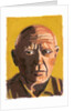 Pablo Picasso, 2008 by Sara Hayward
