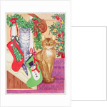 Cats on the stairs by Suzanne Bailey