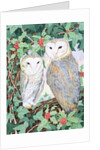 Barn Owls by Suzanne Bailey