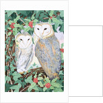 Barn Owls by Suzanne Bailey