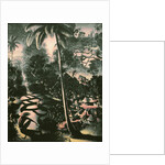 A view from above, 1934 by Walter Spies