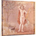 Hermaphroditus, fragment by Roman