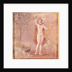 Hermaphroditus, fragment by Roman