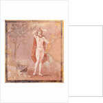 Hermaphroditus, fragment by Roman