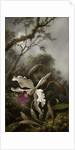 Hummingbird with White Orchid, 1875-1885 by Martin Johnson Heade