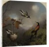 Hummingbirds: Two 'Sungems' and a 'Crimson Topaz', 1866 by Martin Johnson Heade