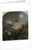 Hummingbirds: Two 'Sungems' and a 'Crimson Topaz', 1866 by Martin Johnson Heade