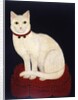 Tinkle, a Cat, 1883 by American School