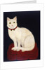 Tinkle, a Cat, 1883 by American School