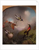 Hummingbirds: Two 'Sungems' and a 'Crimson Topaz', 1866 by Martin Johnson Heade