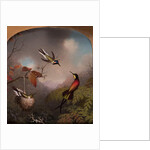 Hummingbirds: Two 'Sungems' and a 'Crimson Topaz', 1866 by Martin Johnson Heade