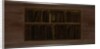 Shelf of Books, 1769 by Winthrop Chandler