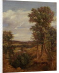 Dedham Vale, 1802 by John Constable