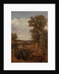 Dedham Vale, 1802 by John Constable