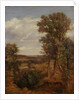 Dedham Vale, 1802 by John Constable